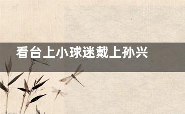 看台上小球迷戴上孙兴慜同款面具 期待孙兴慜的表现